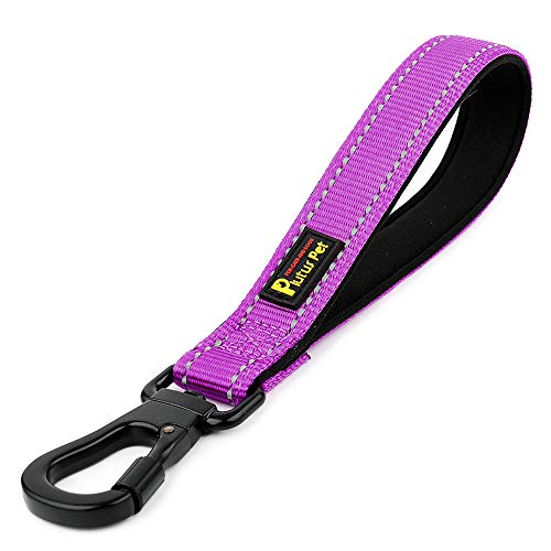 10” Short Dog Leash (Purple / 10 Inch (Pack of 1))