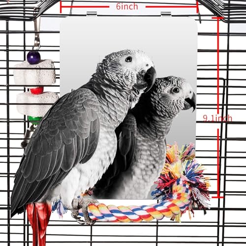 9" Bird Mirror for Cage (Large)