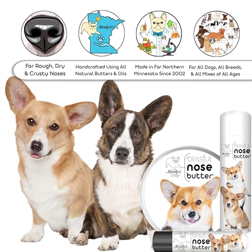 Corgi Unscented Nose Butter (Corgi / 4 Ounce)