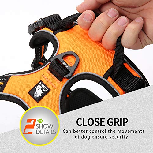 Truelove No Pull Dog Harness with Easy Control Handle and 2 Leash Attachments (Small / Orange)
