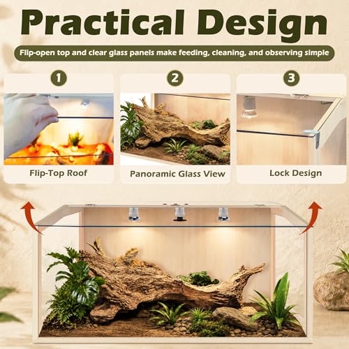 Bearded Dragon Tank (39X18X18 inch)