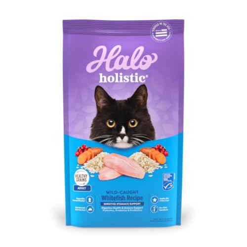Holistic Dry Cat Food