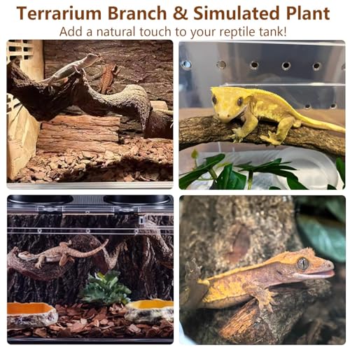 2Pcs Reptile Climbing Branches Decor (2PCS|XL:2.50-3.25"D,13"L)