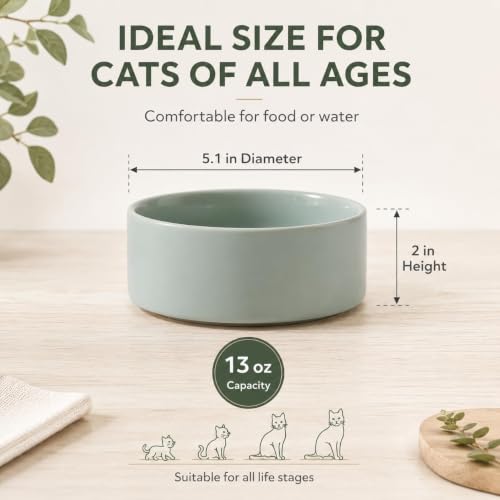 Cat Bowls Set of Two (Light Green)
