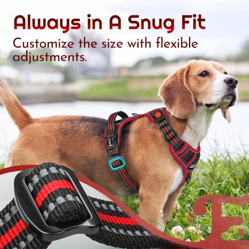 Dog Harness No Pull for Large Dogs (Large / Black & Red)