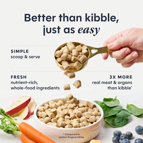 Freeze Dried Raw Meals (9.5 Ounce (Pack of 1))