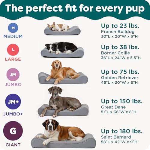 Orthopedic Dog Bed for Large