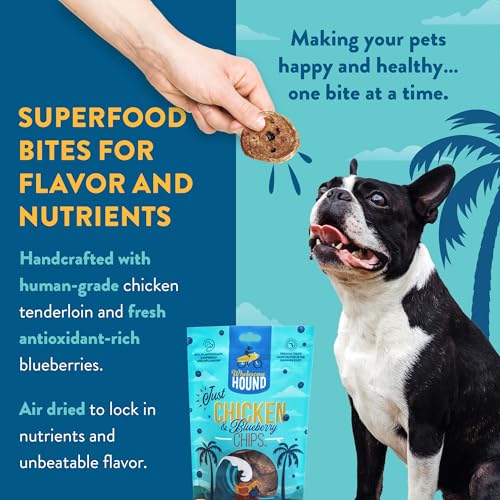 Chicken Blueberry Chips Dog Treats (3 Ounce)
