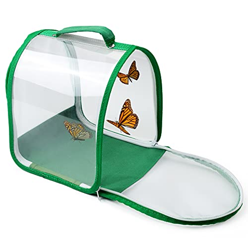 Small Butterfly Habitat