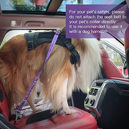 Dog Seat Belt for Car (Set Black+Purple)