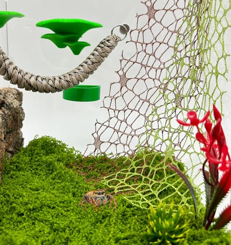 6 PCS Jumping Spider Habitat Accessories