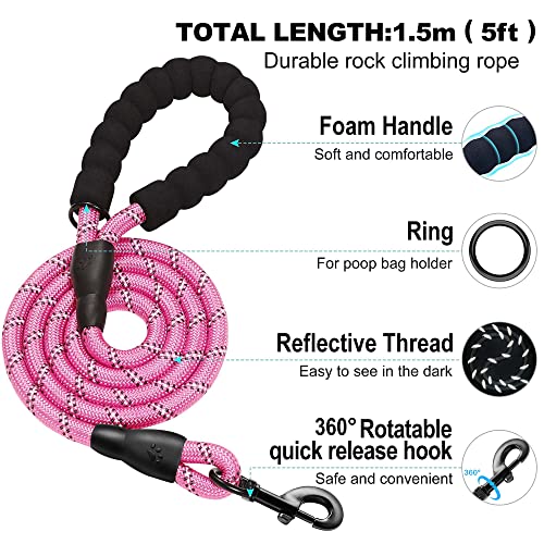 Dog Harness with Leash Set (S / Blue / Pink)