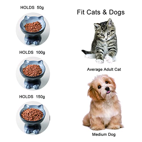 Elevated Cat Bowls (6.8 OZ / Gray)