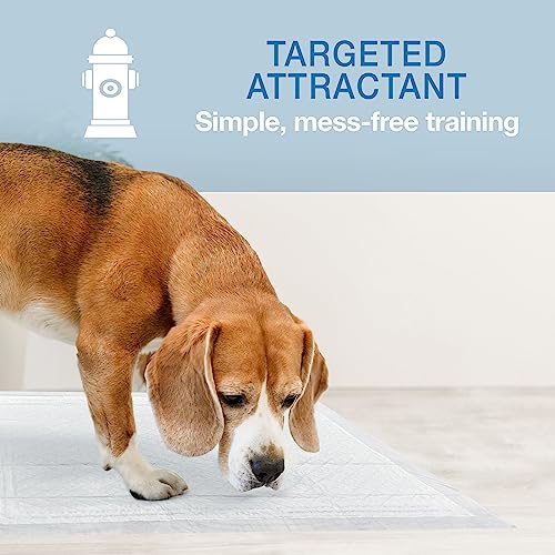 Wee Wee Super Absorbent Insta (10 Count)