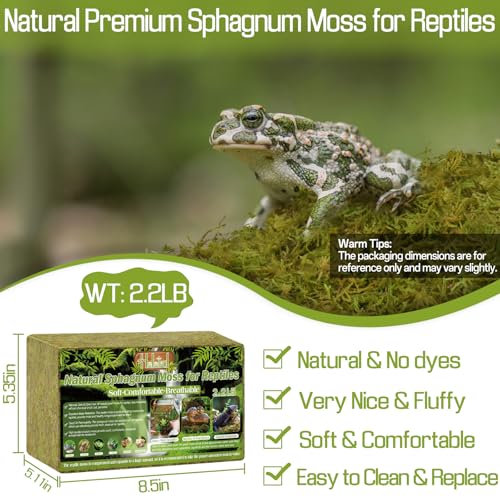 2.2 LB Sphagnum Moss for Reptiles (2.2LB)