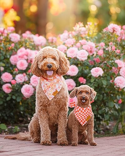 Daisy Spring Dog Bandanas Large (Large)
