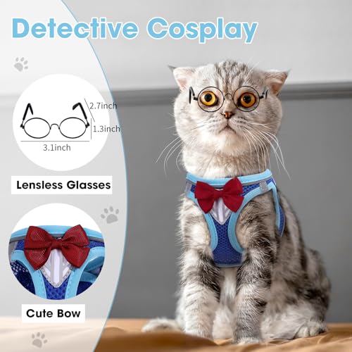 Cat Vest Harness and Leash Set (Blue / S)