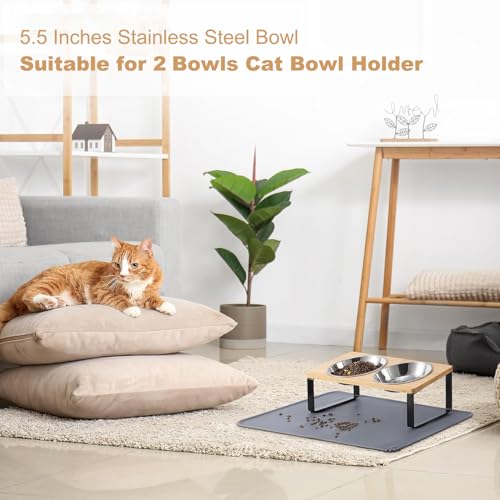 Stainless Steel Raised Cat Food Bowl for 2 Bowls