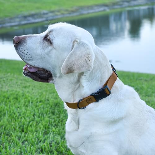 Biothane Waterproof Dog Collar with Quick Release Buckle Strong Coated Nylon Webbing with Odor (5/8"W by 10-14"L / Coyote Brown)