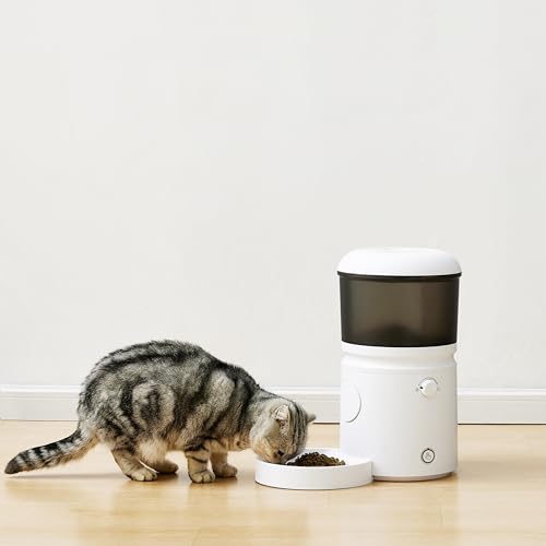 Automatic Cat Feeder with Programmable Voice Recorder