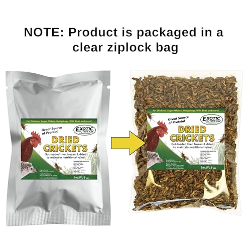 1 Pound Dried Crickets