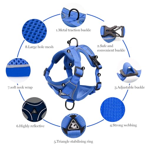 cat Chest Harness and Leash (Royal blue / XL:16.5-22.04lb)