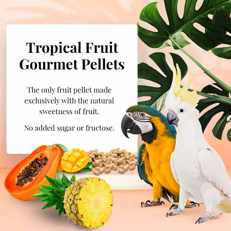 Tropical Fruit Gourmet Pellets for Macaws (1.25 Pound (Pack of 2))