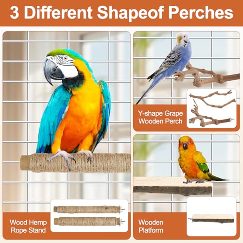 Bird Perch Stand