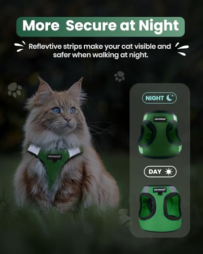 Cat Harness and Leash Set (Neon Green / XL(Chest 14-16"))
