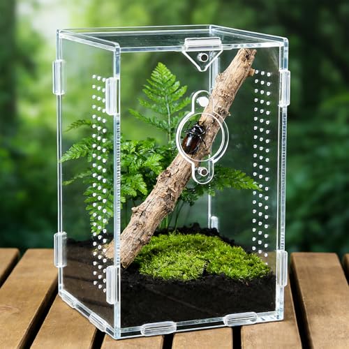 Acrylic Jumping Spider Enclosure (A2)