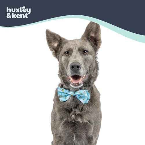 Pet Bow Tie for Dogs & Cats (Large)