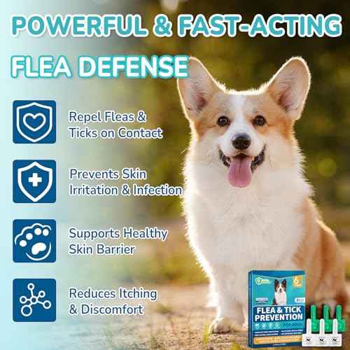 Flea and Tick Prevention for Medium Dogs (Medium Dogs (23 to 44 lbs))