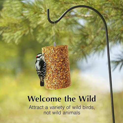 Ready to Use Hot Pepper Bird Seed Cylinder