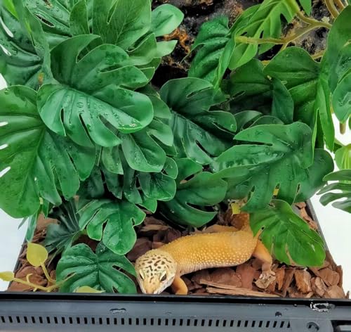 Fake Reptile Plants for Terrarium (Fake Monstera)