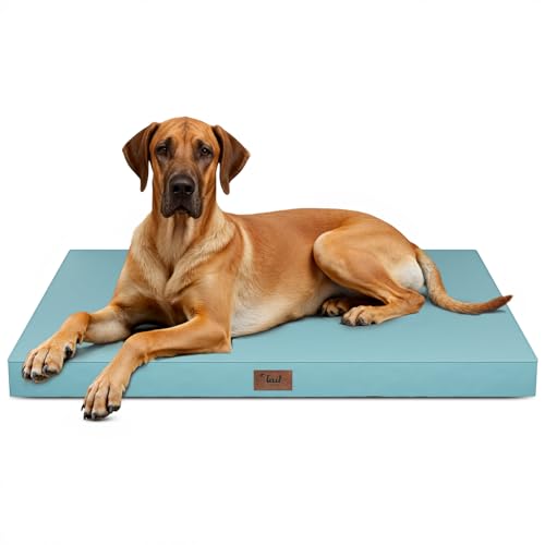 Jumbo Waterproof Orthopedic Dog Bed for Extra Large Dogs (Light Blue / 53.0"L x 36.0"W x 4.0"Th)