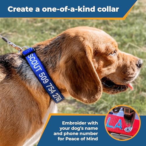 Personalized Dog Collar