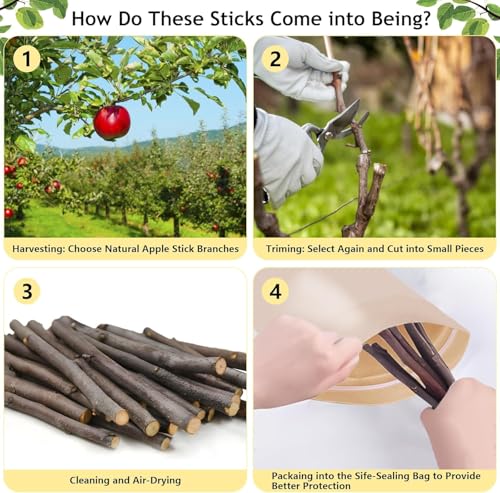 1000g Organic Apple Sticks Small Animals Molar Wood Treats Toys for Chinchillas Guinea Pig Rabbits Hamster Gerbil Parrot Bunny Chew Stick Toys (2.21 Pound (Pack of 1))