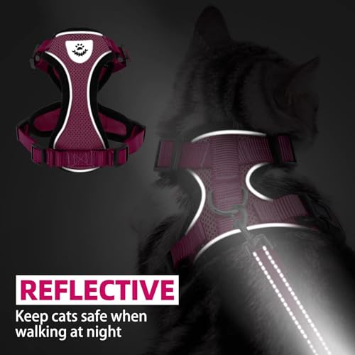 Cat Harness and Leash Set Escape Proof Reflective Cat Walking Harness Adjustable Soft Breathable Mesh Vest for Small Pets (S (NECK 9.5"-11", CHEST 13"-16") / Deep Pink)