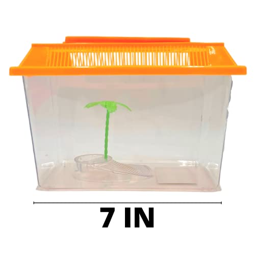 Mini Neon Plastic Reptile Carrier