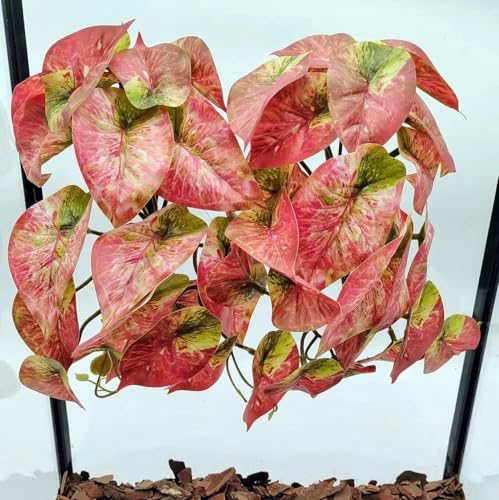 Fake Reptile Plants for Terrarium (Red Arrowhead)