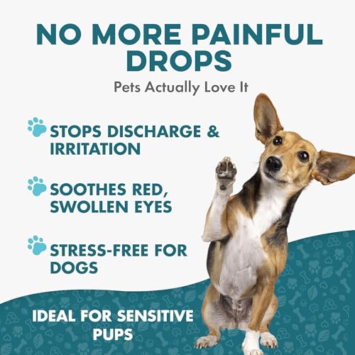Dog Eye Infection & Eye Care Support Supplements