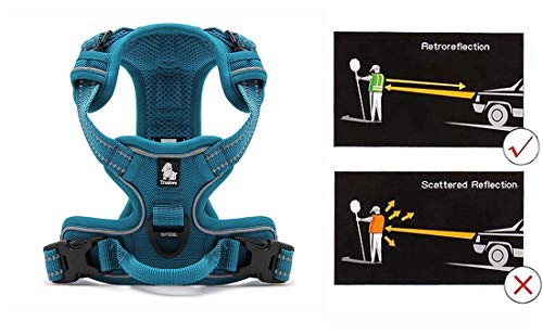 Truelove No Pull Dog Harness with Easy Control Handle and 2 Leash Attachments (X-Small / Teal Blue)