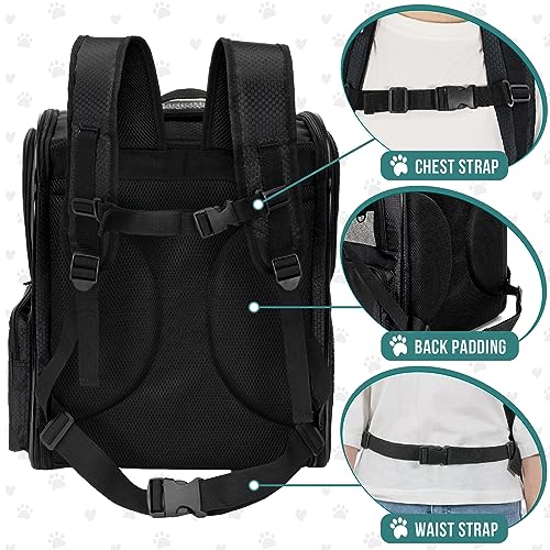 Dog Backpack Carrier for Cats (Black)