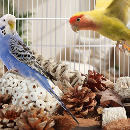 Bird Toys Parrot Natural Bird Foraging Box Foot Toys for Parakeets (Large)