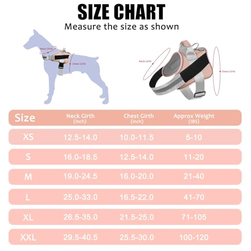 Dog Harness No (Small (Pack of 1) / RosePink)
