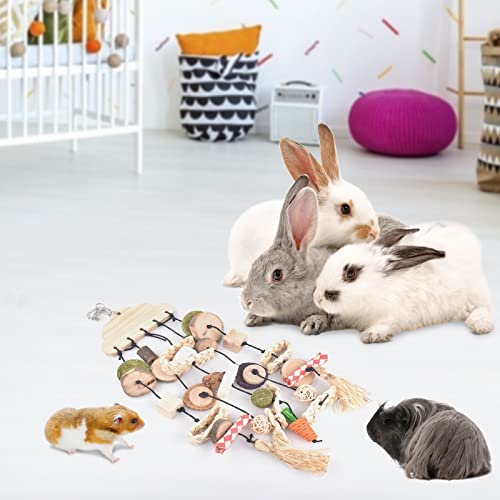 Rabbit Chew Toy (Style-1)