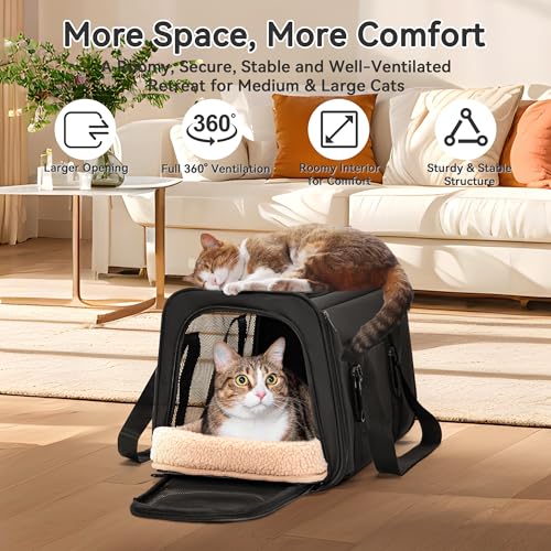 Large Cat Carrier with Patented Safety Buckles (19.0"L x 12.0"W x 12.0"H / Black)