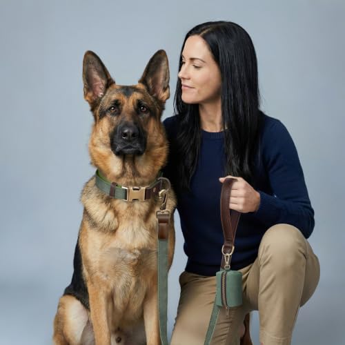 PU Leather Dog Collar for Large Dogs (Green / XL: Neck 20-27", Width 1¼")