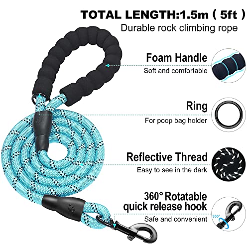 Dog Harness with Leash Set (M / Turquoise)