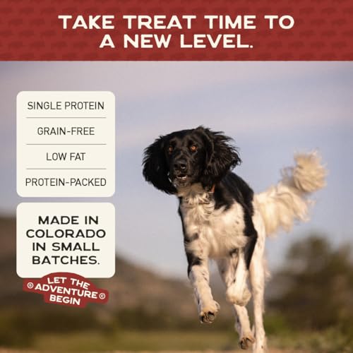 Healthy Soft Dog Treats (5 Ounce (Pack of 1))
